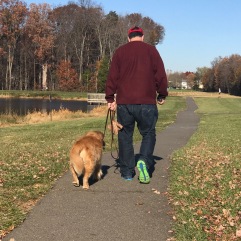 Taking a walk on a beautiful day